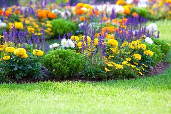 Flower Bed Maintenance in Mount Vernon