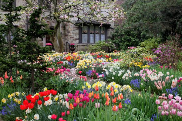 Garden Maintenance Service in Mount Vernon