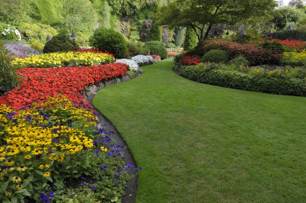 Landscaping Maintenance in Mount Vernon