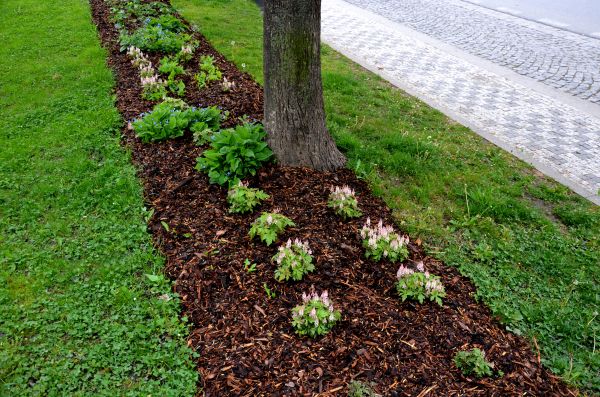 Mulch Replacement Service in Mount Vernon