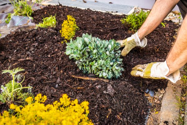 Weeding And Mulching in Mount Vernon