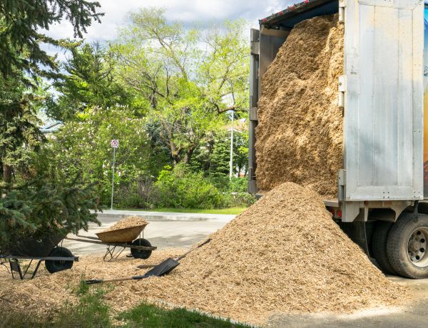 Wood Chips Delivery in Mount Vernon