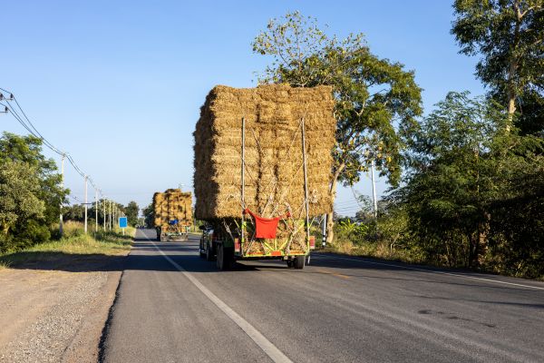 Pine Straw Delivery in Mount Vernon