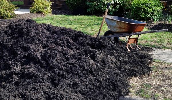 Black Mulch Delivery in Mount Vernon