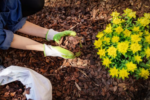 Garden Mulching in Mount Vernon