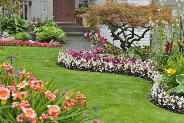 Perennial Landscaping in Mount Vernon