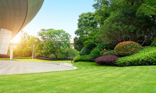 Business Landscape Design in Mount Vernon