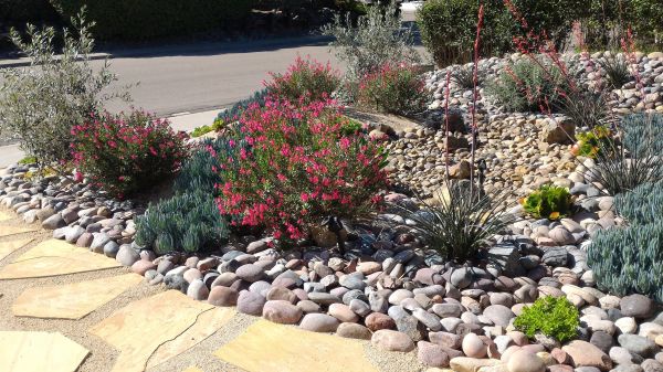 Xeriscape Landscaping in Mount Vernon
