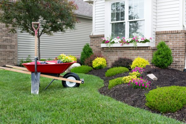Tree And Shrub Planting in Mount Vernon