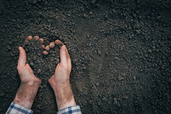 Soil Installation in Mount Vernon