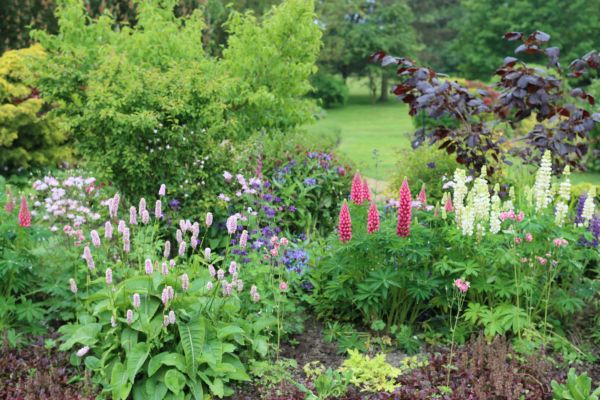 Flower Bed Planting in Mount Vernon
