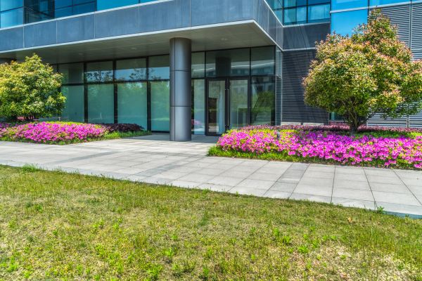 Commercial Gardening in Mount Vernon