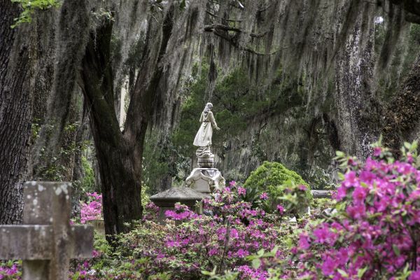 Cemetery Landscaping in Mount Vernon