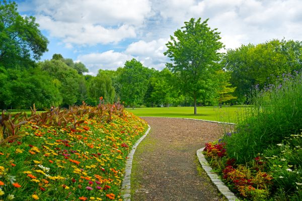 Park Landscaping in Mount Vernon