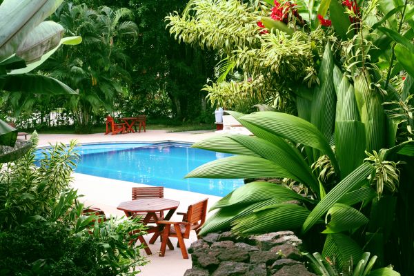 Tropical Garden Landscaping in Mount Vernon