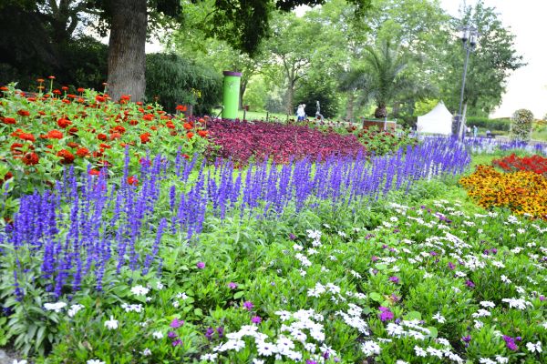 Perennials Planting in Mount Vernon