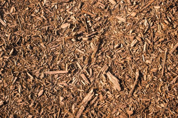 Wood Chips Removal in Mount Vernon