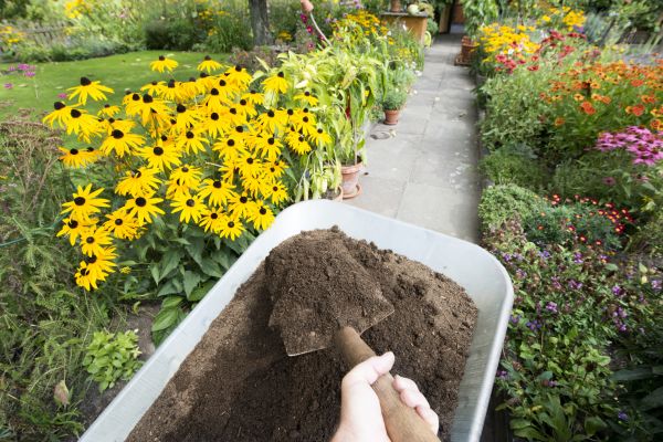 Topsoil Replacement in Mount Vernon