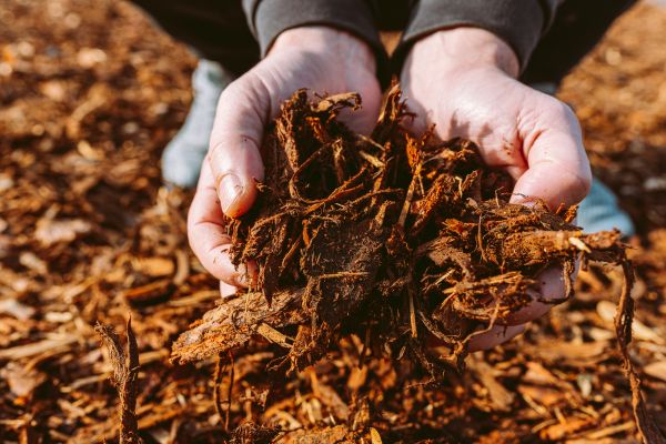 Bark Chips Delivery in Mount Vernon