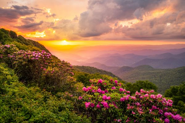 Hill Landscaping in Mount Vernon