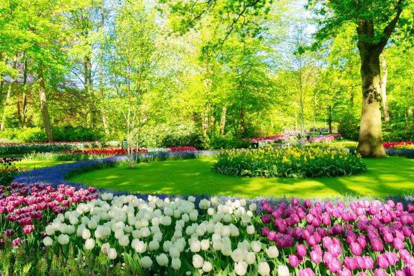 Flower Landscaping in Mount Vernon