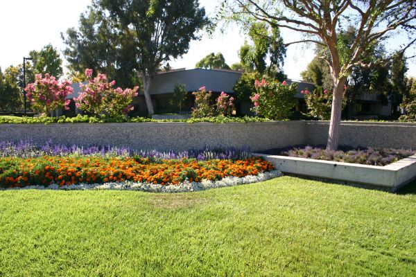 Commercial Landscape Service in Mount Vernon