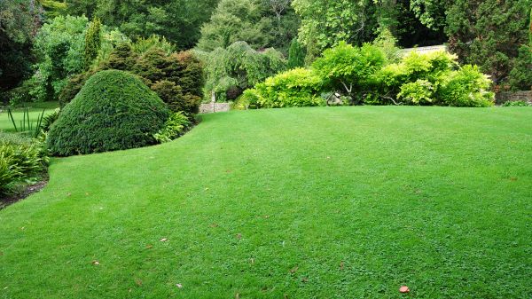 Commercial Landscape Design in Mount Vernon