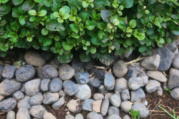 River Stone Installation in Mount Vernon