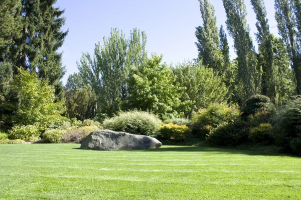 Yard Enlargement in Mount Vernon