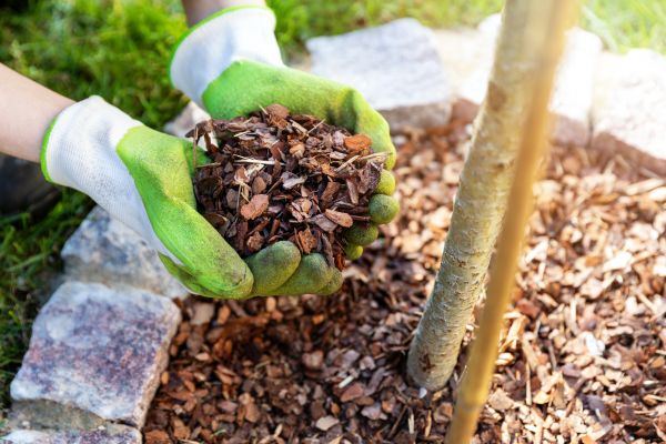 Tree Bark Delivery in Mount Vernon