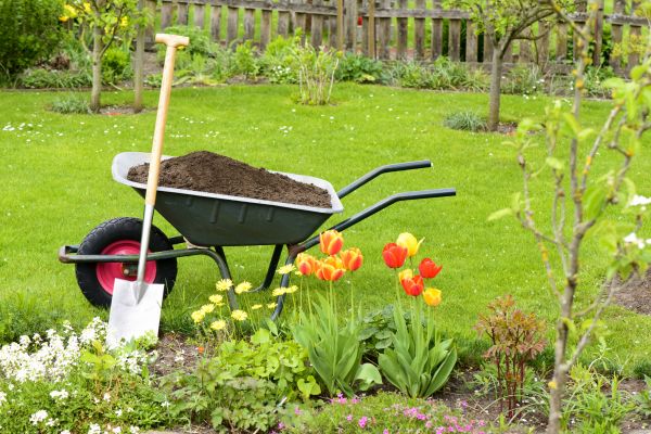 Spring Yard Renovation in Mount Vernon