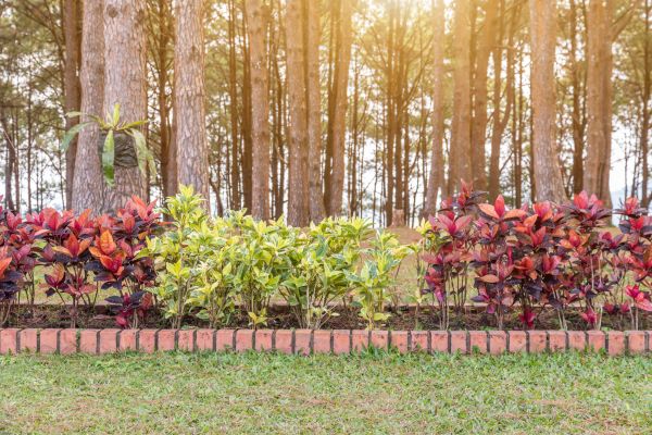 Small Garden Landscaping in Mount Vernon