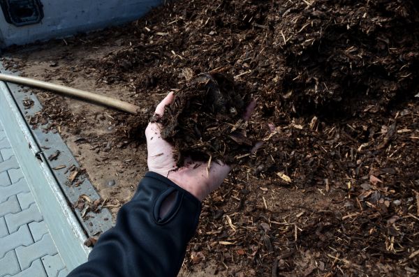 Condo Mulching in Mount Vernon