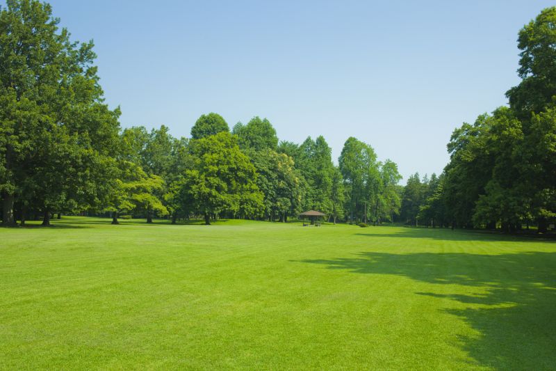 Public Park Enhancements